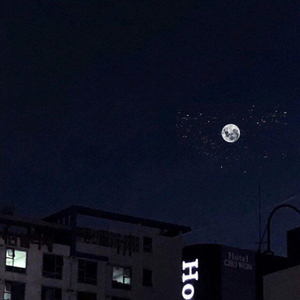 后进丰满圆润大屁股视频
